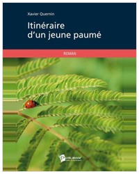 Itinéraire d'un jeune paumé