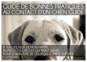 Guide des bonnes pratiques en contact avec un chien-guide d&#039;aveugles
