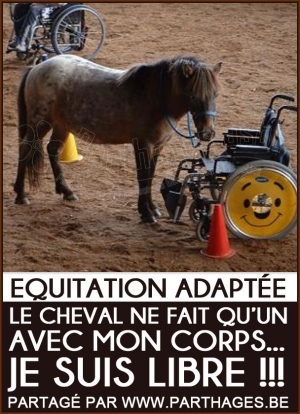 L&#039;équitation adaptée &amp; l&#039;hippothérapie