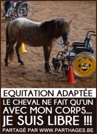 L'équitation adaptée & l'hippothérapie